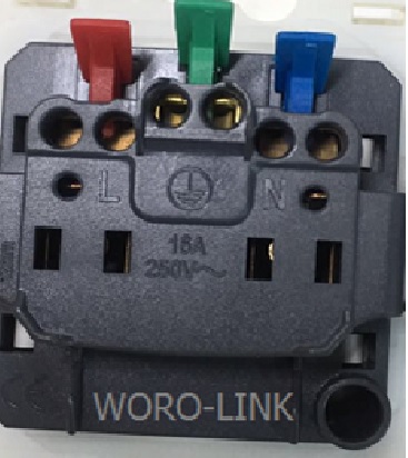 PRISE WOROLINK - 2P+T DROITE - 2 MOD - BLANC