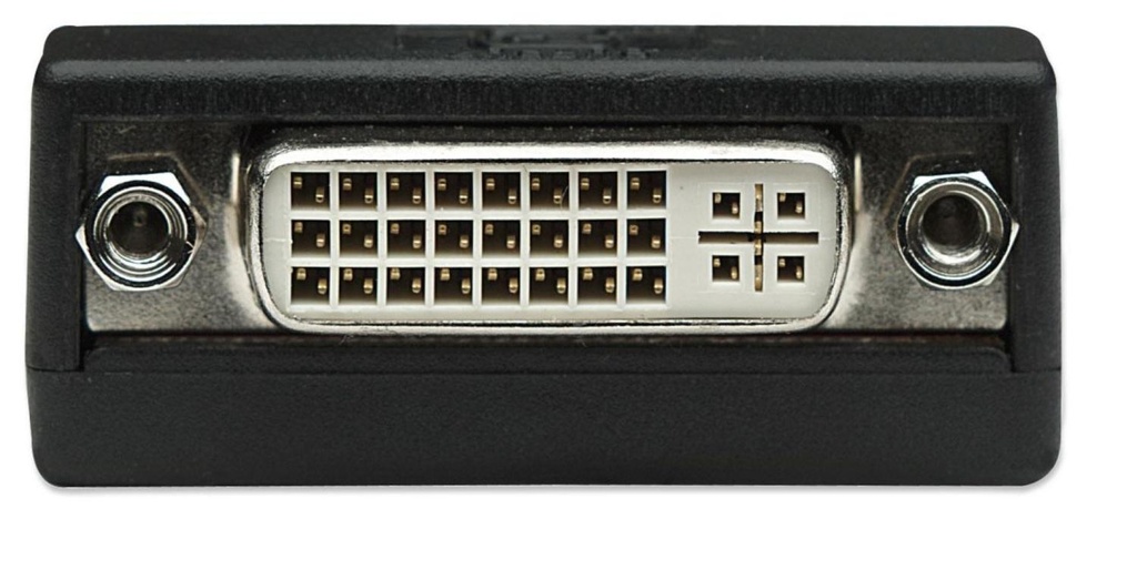 Adaptateur DisplayPort M / DVI-I F, monobloc