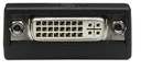 Adaptateur DisplayPort M / DVI-I F, monobloc