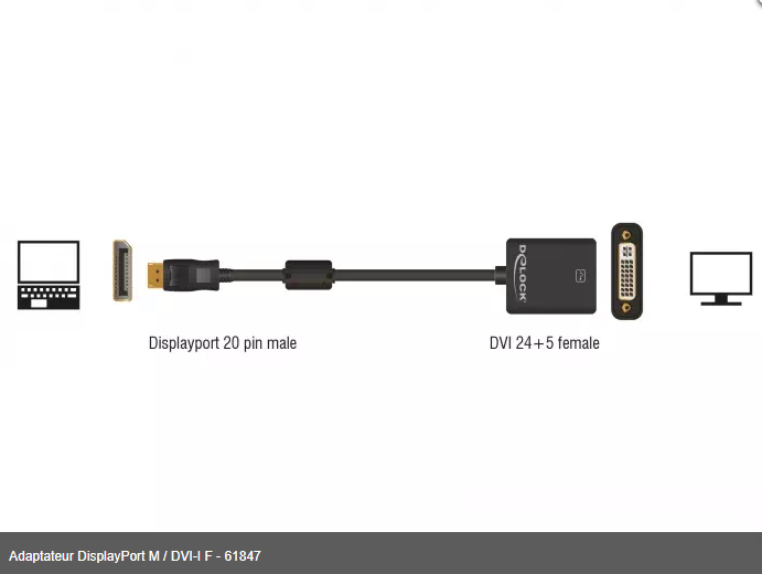 Adaptateur DisplayPort M / DVI-I F - 61847