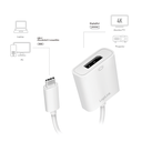 Convertisseur USB3.2 (USB-C) / DisplayPort - UA0246A