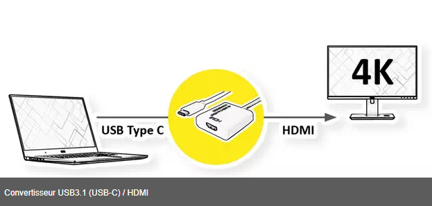 Convertisseur USB3.1 (USB-C) / HDMI
