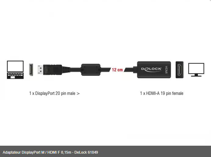 Adaptateur DisplayPort M / HDMI F 0,15m - DeLock 61849