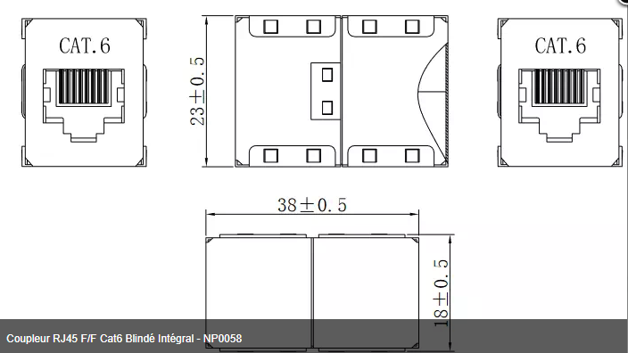 Coupleur RJ45 F/F Cat6 Blindé Intégral - NP0058