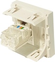 Plastron RJ12 équipé 45 x 45