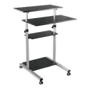 Poste de travail assis-debout, réglable en hauteur, mobile, 60 kg max. 