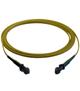 [1300059] Jarretière optique MTRJ - MTRJ Duplex Monomode 9/125µ 1,00 m