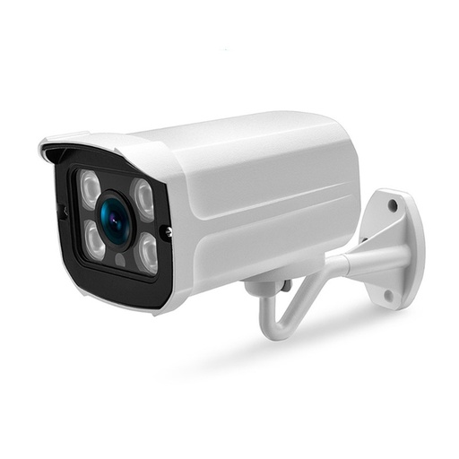 [1901034] CAMERA ETANCHE IP66 3.6MM EXTERIEUR INTERIEUR BALLE IP H.265 