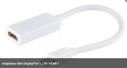 [1101575] Adaptateur Mini DisplayPort 1.2 M / HDMI F