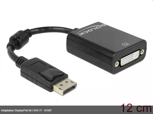 [1101587] Adaptateur DisplayPort M / DVI-I F - 61847