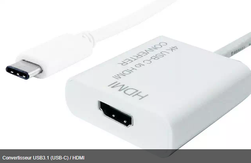 [1101613] Convertisseur USB3.1 (USB-C) / HDMI