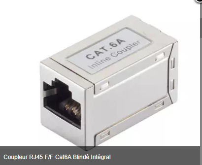 [1101848] Coupleur RJ45 F/F Cat6A Blindé Intégral