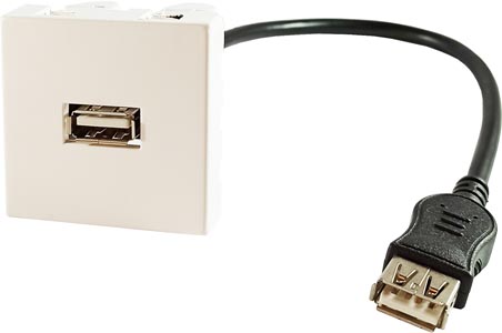 [1101909] Plastron USB2.0 AF / AF 0,20m